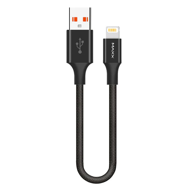 USB Type-A to Lightning connectors